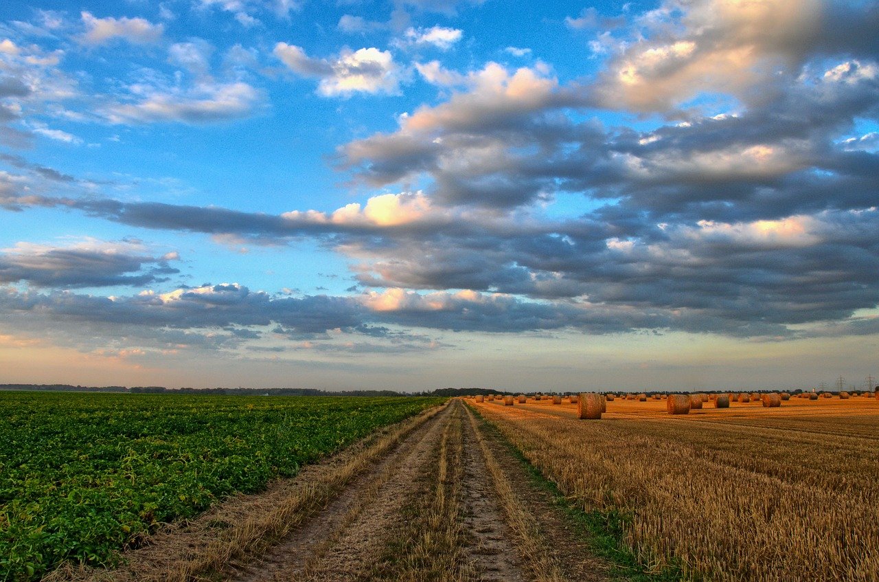 seguro rural