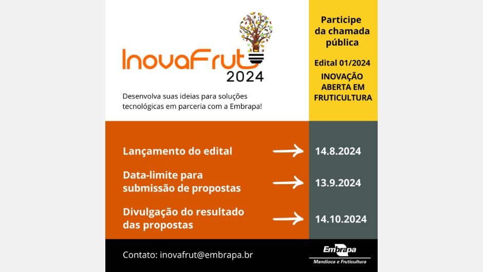 programa de inovaçào